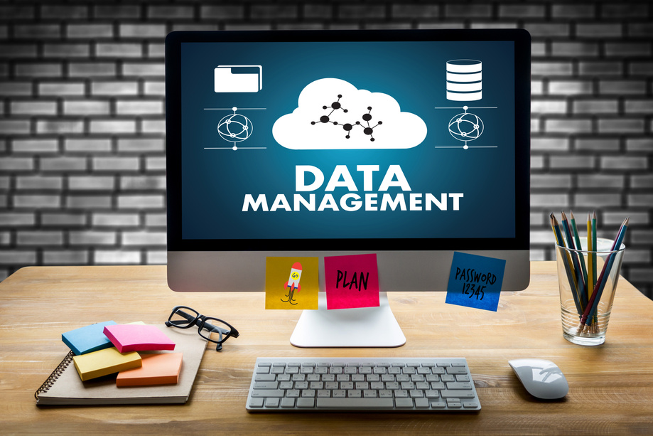 DATA MANAGEMENT File Database Cloud Network technology concept